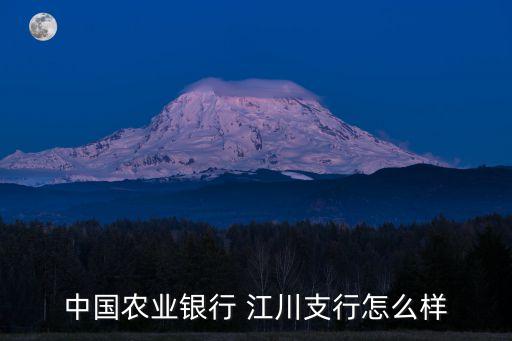 中國農(nóng)業(yè)銀行 江川支行怎么樣