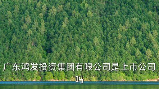 東莞鴻發大廈鼎峰，廣東鼎峰地產集團有限公司怎么樣