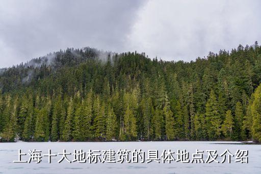 上海市市標是什么做的，上海的機動車牌照是哪里制造出來的