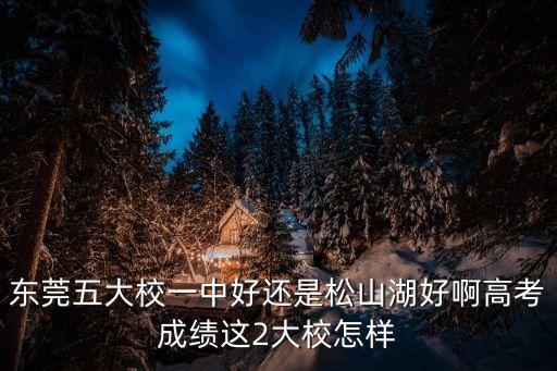 東莞五大校一中好還是松山湖好啊高考成績這2大校怎樣