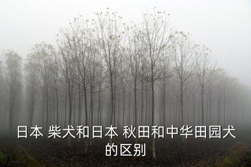 柴犬秋田犬區(qū)別,養(yǎng)柴犬的人都后悔了