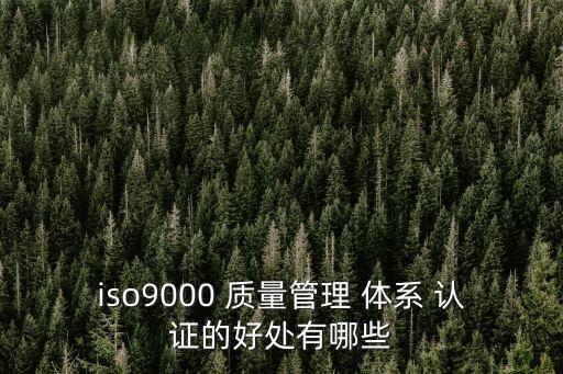 iso9000 質量管理 體系 認證的好處有哪些