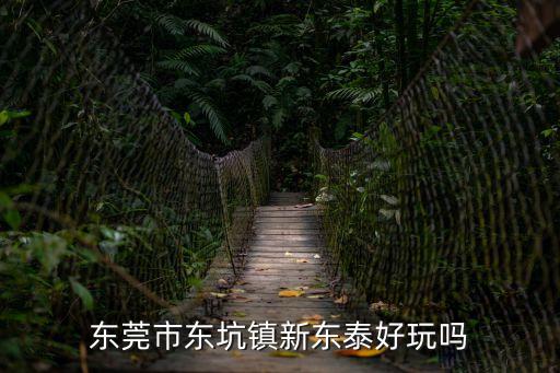 東莞市東坑鎮新東泰好玩嗎
