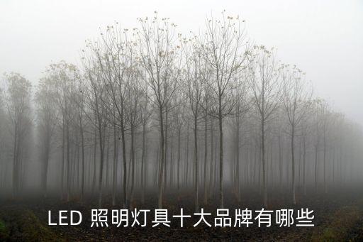 國(guó)外led照明公司,LED路燈照明公司