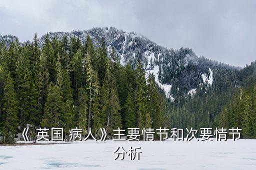 《 英國 病人》主要情節和次要情節分析