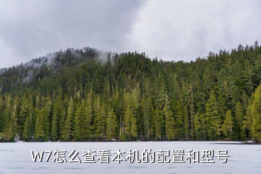 本機型號,vivo手機怎么在手機上查本機型號