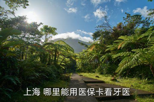 上海 哪里能用醫?？囱泪t