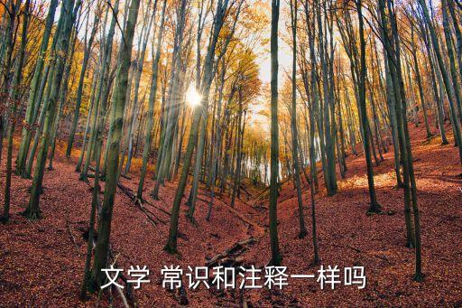 高中文學常識,高考常考文學常識匯總有哪些?