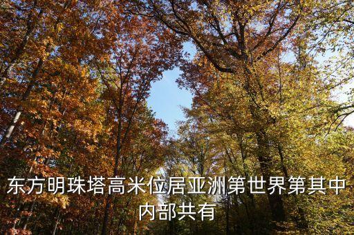 東方明珠塔高米位居亞洲第世界第其中內部共有