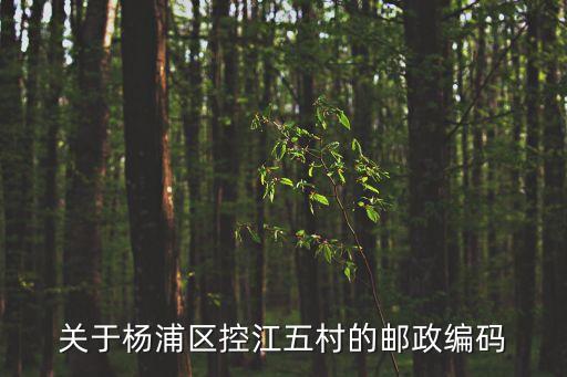 上海市楊浦區(qū)控江五村街道，上海市楊浦區(qū)控江路1500弄屬于什么街道