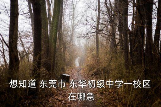 想知道 東莞市 東華初級(jí)中學(xué)一校區(qū) 在哪急