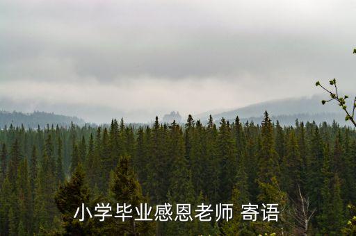 名師寄語
