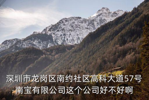 深圳市龍崗區南約社區高科大道57號南寶有限公司這個公司好不好啊