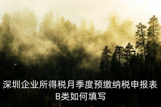 深圳企業所得稅月季度預繳納稅申報表B類如何填寫