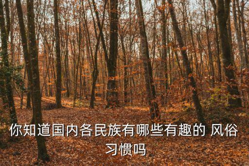 你知道國內各民族有哪些有趣的 風俗 習慣嗎