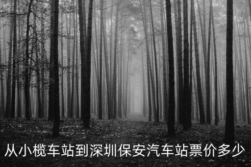 從小欖車站到深圳保安汽車站票價多少