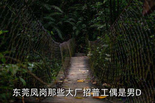 東莞鳳崗那些大廠招普工偶是男D