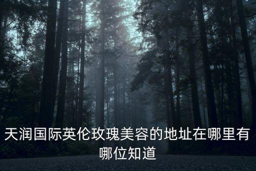 深圳天潤國際藝術(shù)品，深圳天潤文化傳媒有限公司怎么樣