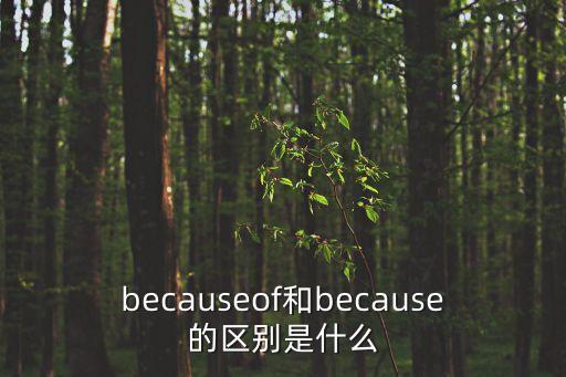 becauseof和because的區別是什么