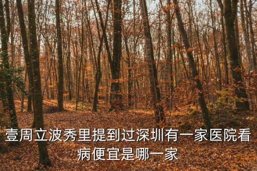 壹周立波秀里提到過(guò)深圳有一家醫(yī)院看病便宜是哪一家