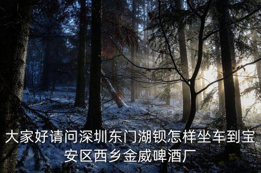 大家好請(qǐng)問(wèn)深圳東門(mén)湖鋇怎樣坐車(chē)到寶安區(qū)西鄉(xiāng)金威啤酒廠