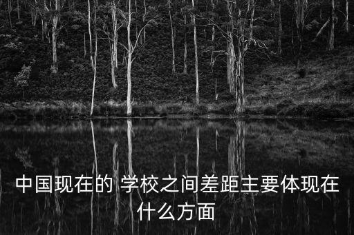 中國現在的 學校之間差距主要體現在什么方面