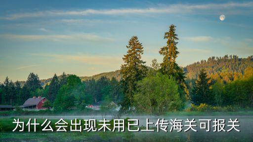 深圳海關(guān)關(guān)區(qū)代碼5301，深圳海關(guān)進口增值稅專用繳款書號碼530120101012152190L01進口口