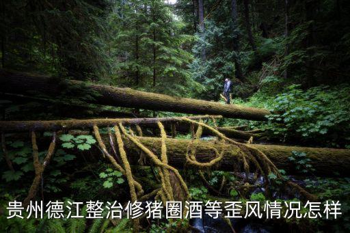 德江縣人民政府