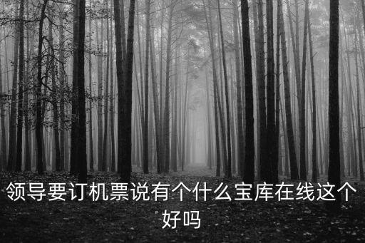領(lǐng)導(dǎo)要訂機(jī)票說(shuō)有個(gè)什么寶庫(kù)在線這個(gè)好嗎