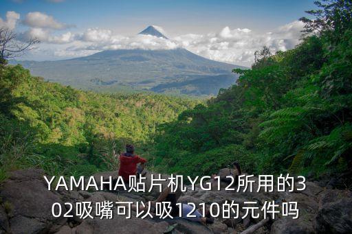 YAMAHA貼片機YG12所用的302吸嘴可以吸1210的元件嗎
