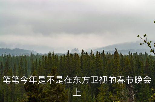 筆筆今年是不是在東方衛視的春節晚會上