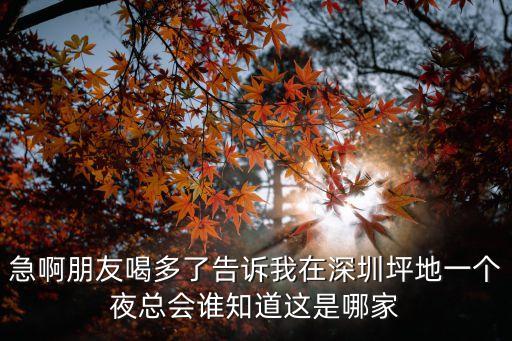 深圳金保利會所，深圳市最大的休閑會所叫什么