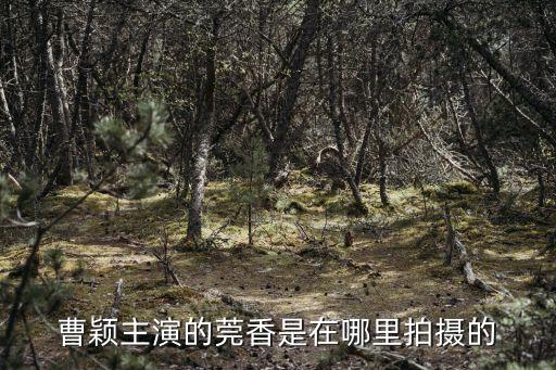 東莞寮步鎮莞香花園，曹穎主演的莞香是在哪里拍攝的