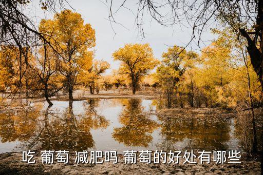 減肥可以吃葡萄嗎,抽脂手術大概花多少錢