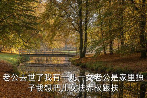 老公去世了我有一兒一女老公是家里獨子我想把兒女扶養權跟扶