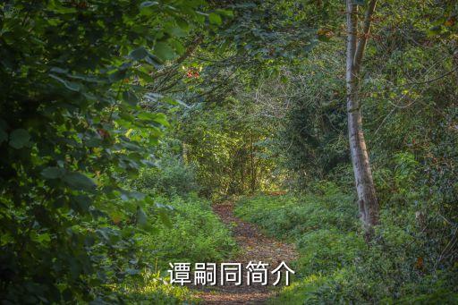 譚嗣同,譚嗣同:只有發展民族工商業學習西方資產階級政治制度