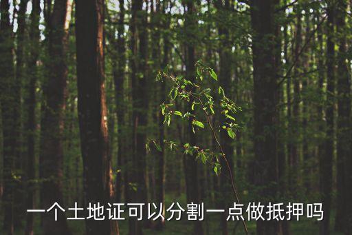 深圳土地分割抵押，深圳房產證上面注明5年內不得出售在國土局能不能做抵押