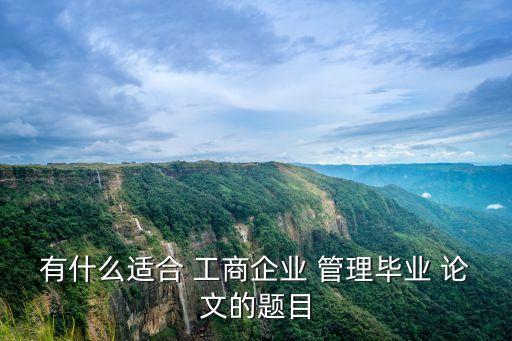 工商管理專(zhuān)業(yè)論文,工商企業(yè)畢業(yè)論文設(shè)計(jì)題目