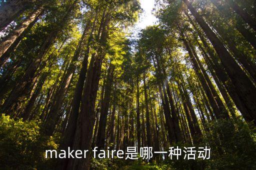 maker faire是哪一種活動