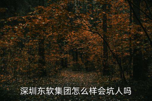 東軟集團(tuán)深圳分公司，深圳東軟的普通銷售月薪大概是多少 待遇怎么樣