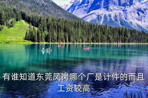 有誰知道東莞鳳崗哪個廠是計件的而且工資較高