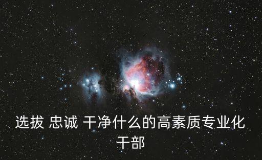 忠誠干凈擔當