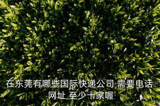東莞到坦桑尼亞dhl快遞公司，請問哪個快遞公司可以到馬來西亞