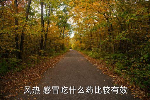  風(fēng)熱 感冒吃什么藥比較有效