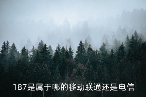 187號段