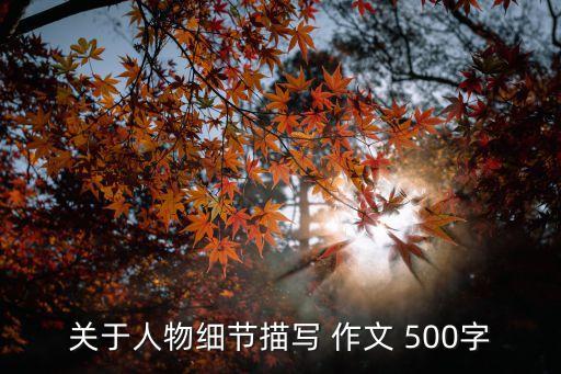 關于人物細節描寫 作文 500字