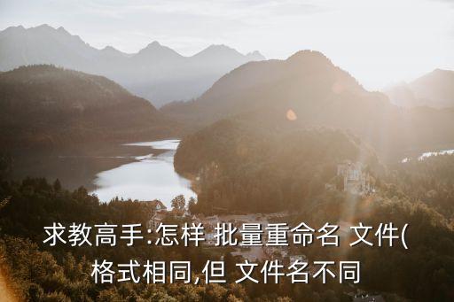 求教高手:怎樣 批量重命名 文件(格式相同,但 文件名不同