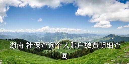  湖南 社保查詢個人賬戶繳費(fèi)明細(xì)查詢