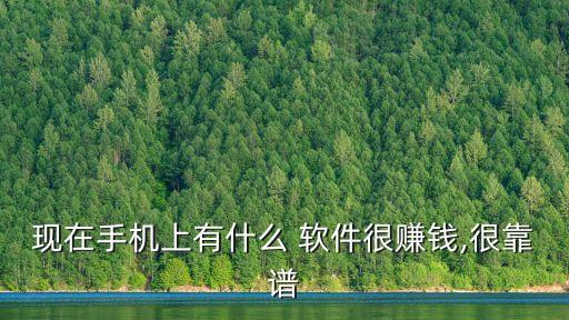 現(xiàn)在手機上有什么 軟件很賺錢,很靠譜