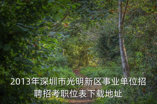 2013年深圳市光明新區事業單位招聘招考職位表下載地址